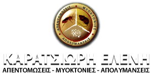 Ελένη Καρατσιώρη